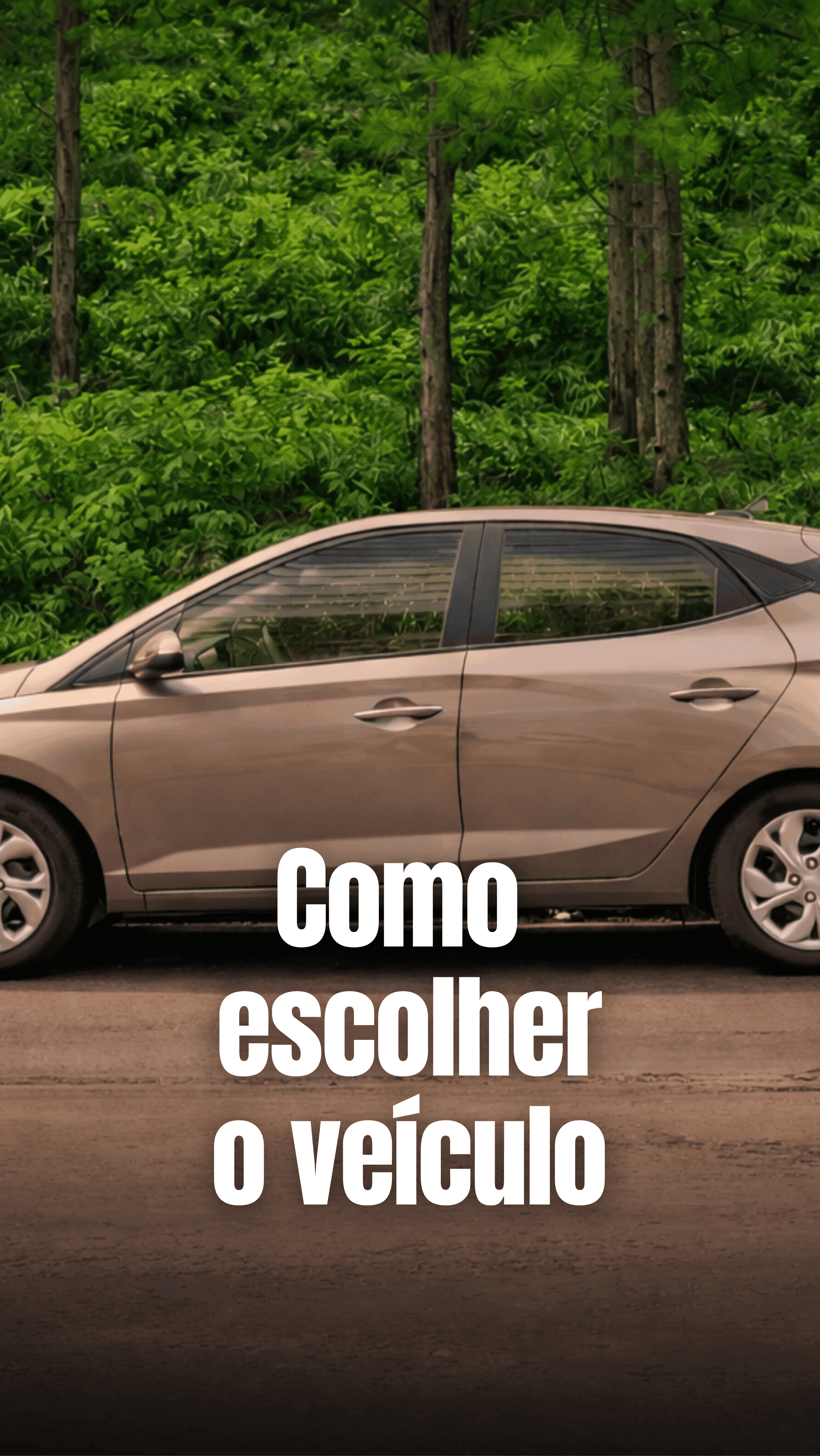 Escolhendo veículo e instrutor