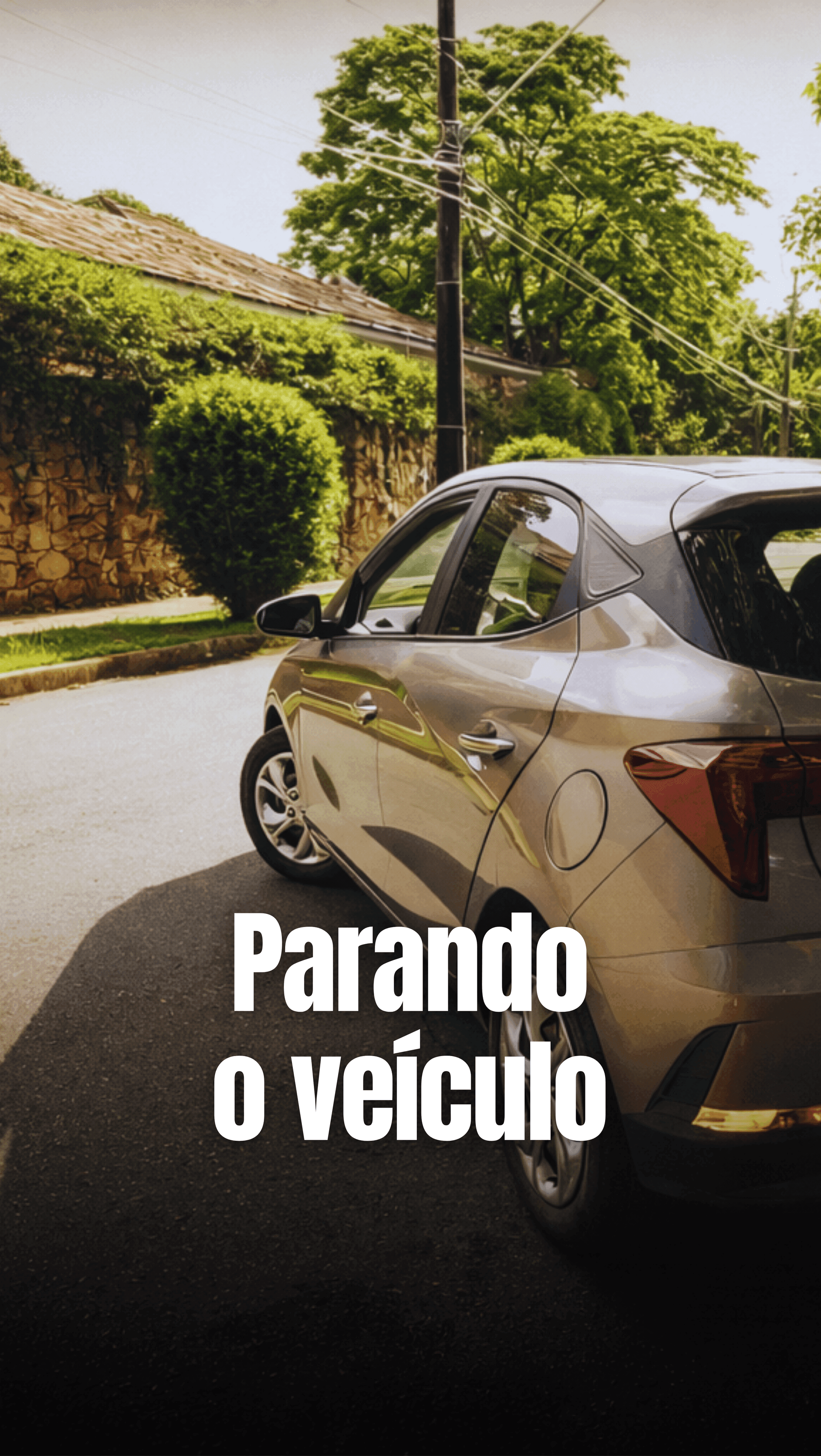 Parando o veículo